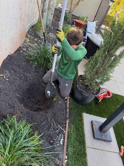 Property after Crouse lawn and landscape service