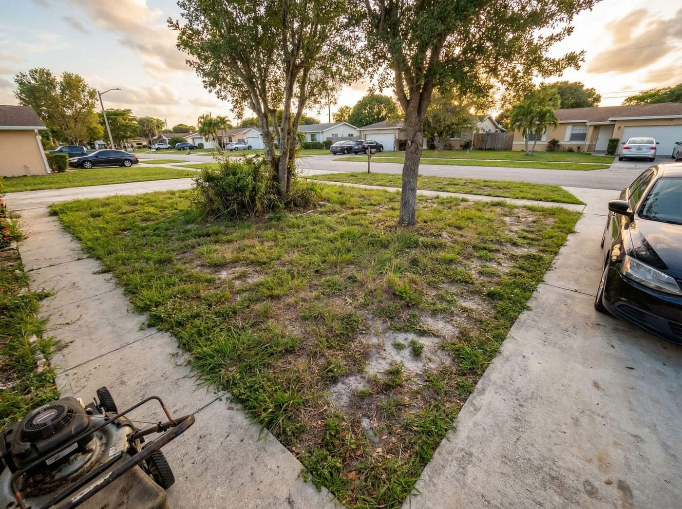 Lawn before Crouse service — patchy and overgrown