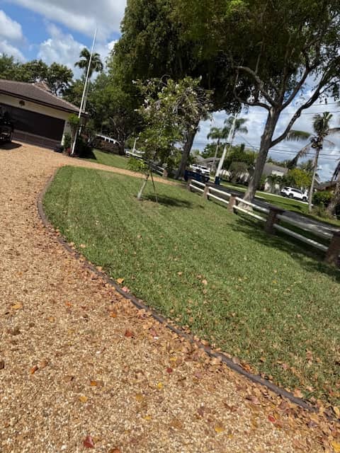 Property Cleanup